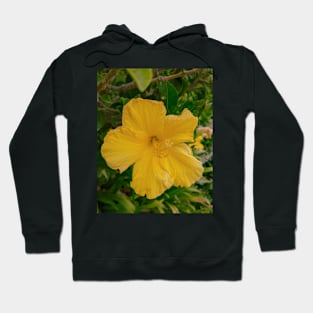 Yellow Flower Hoodie